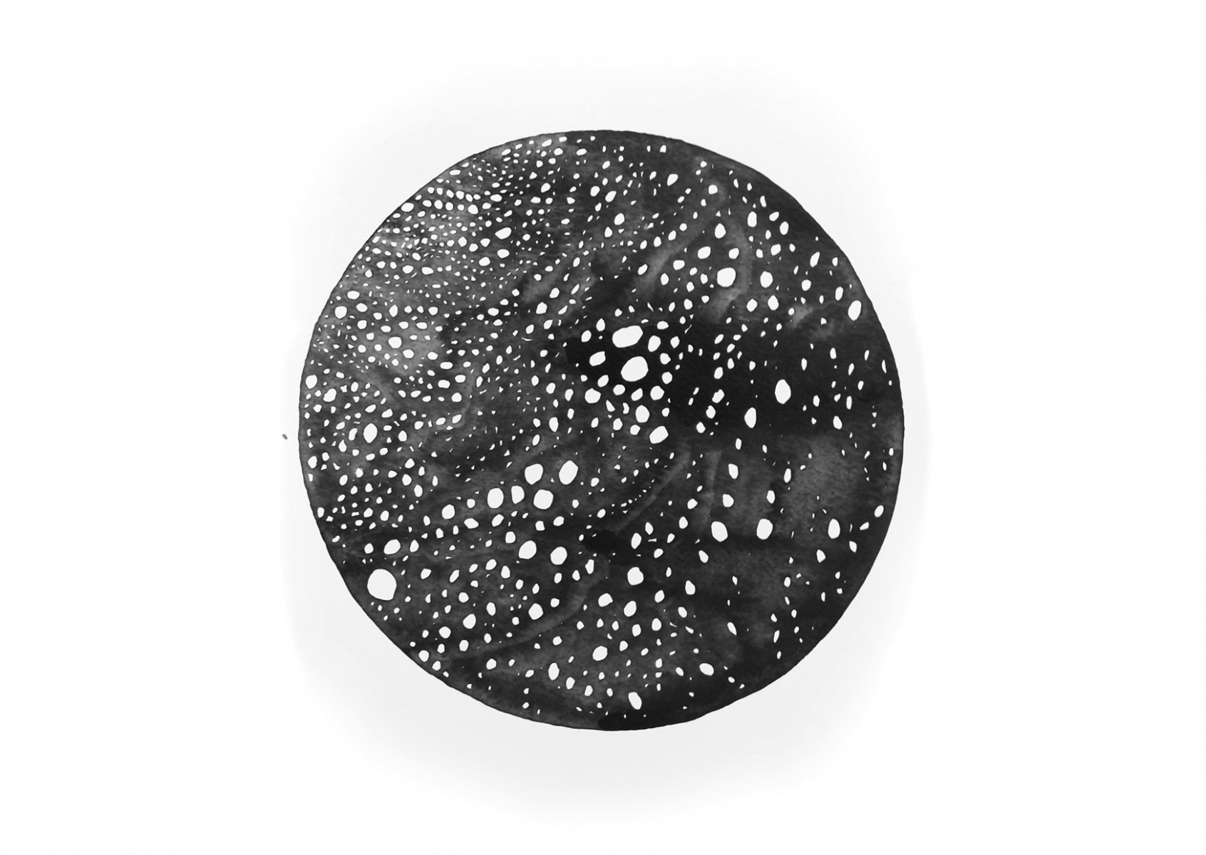 Black-ink-Cups2