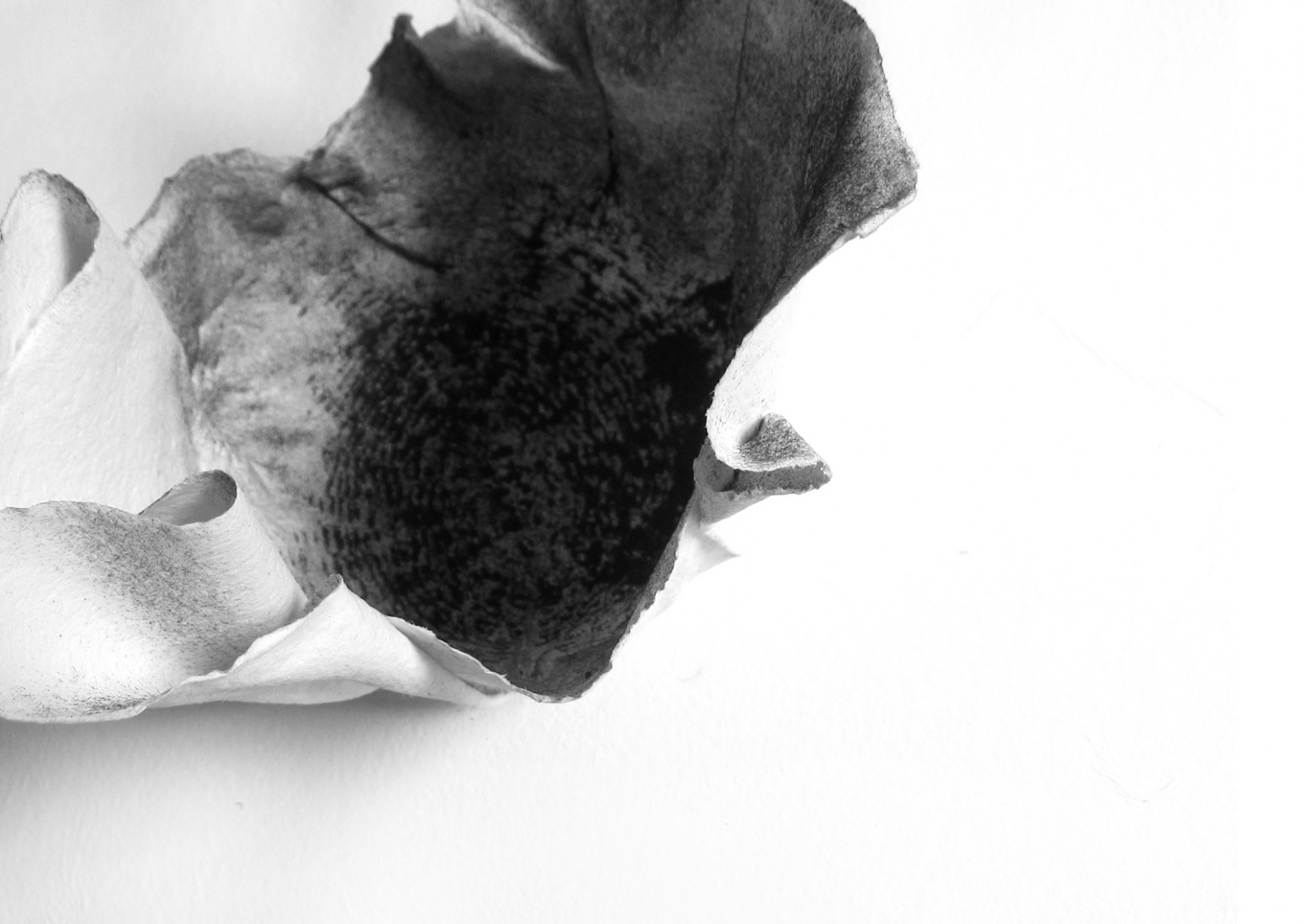 Black-ink-Cups20