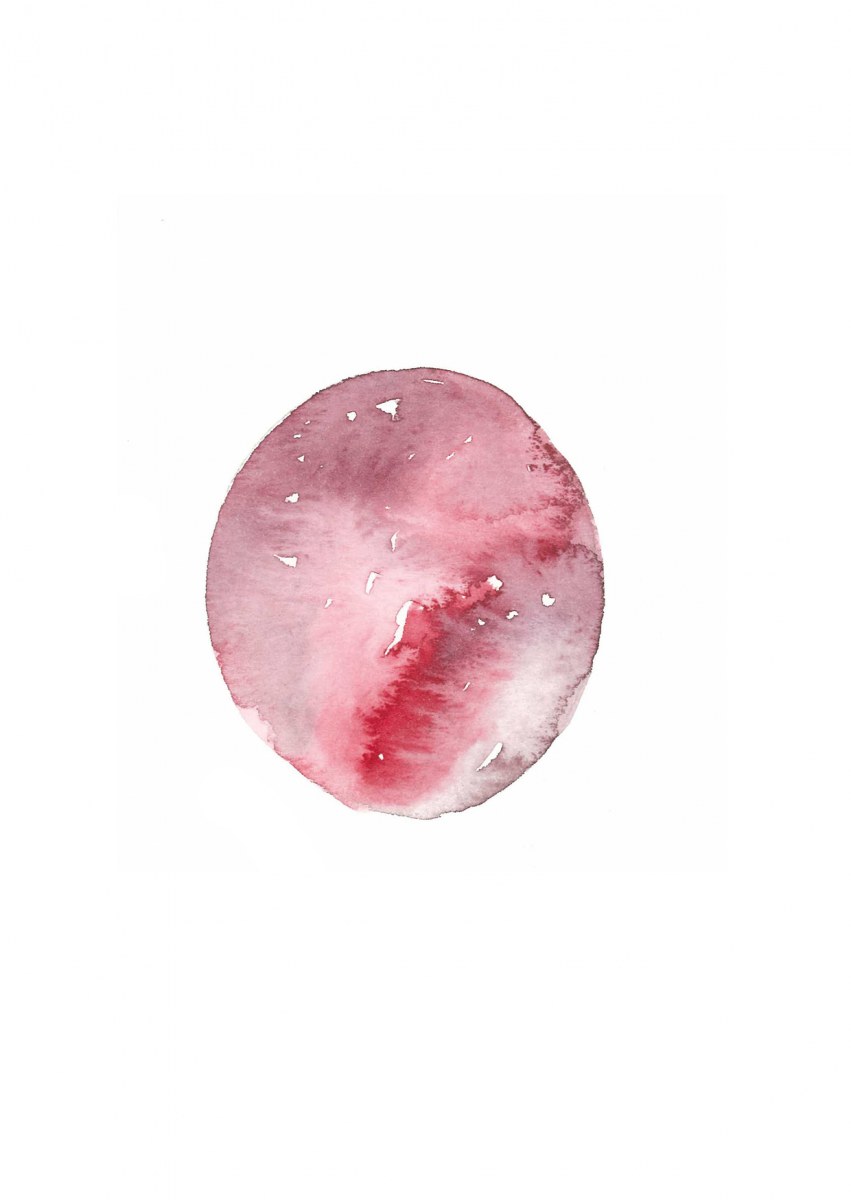 Blood-pebbles7