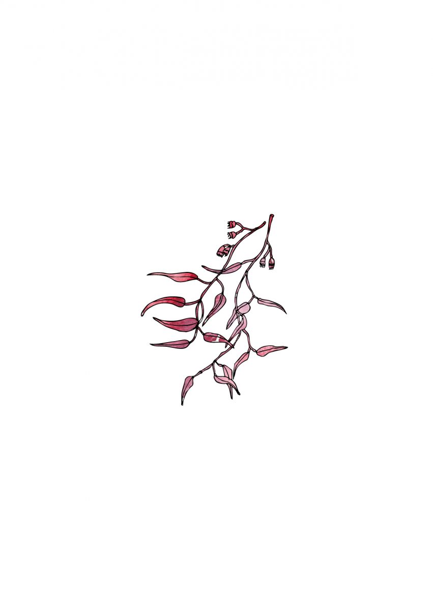 Dyepoiesis19