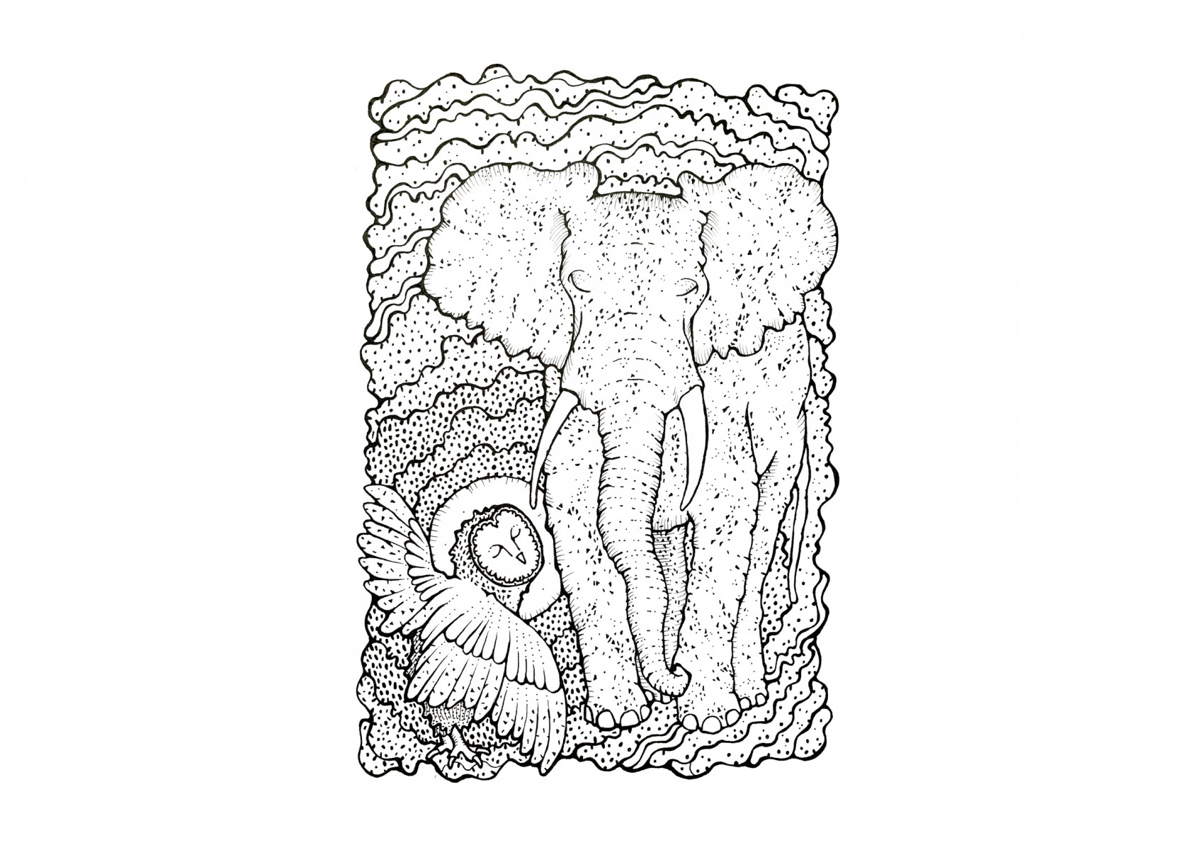 Elephant-and-owl_R