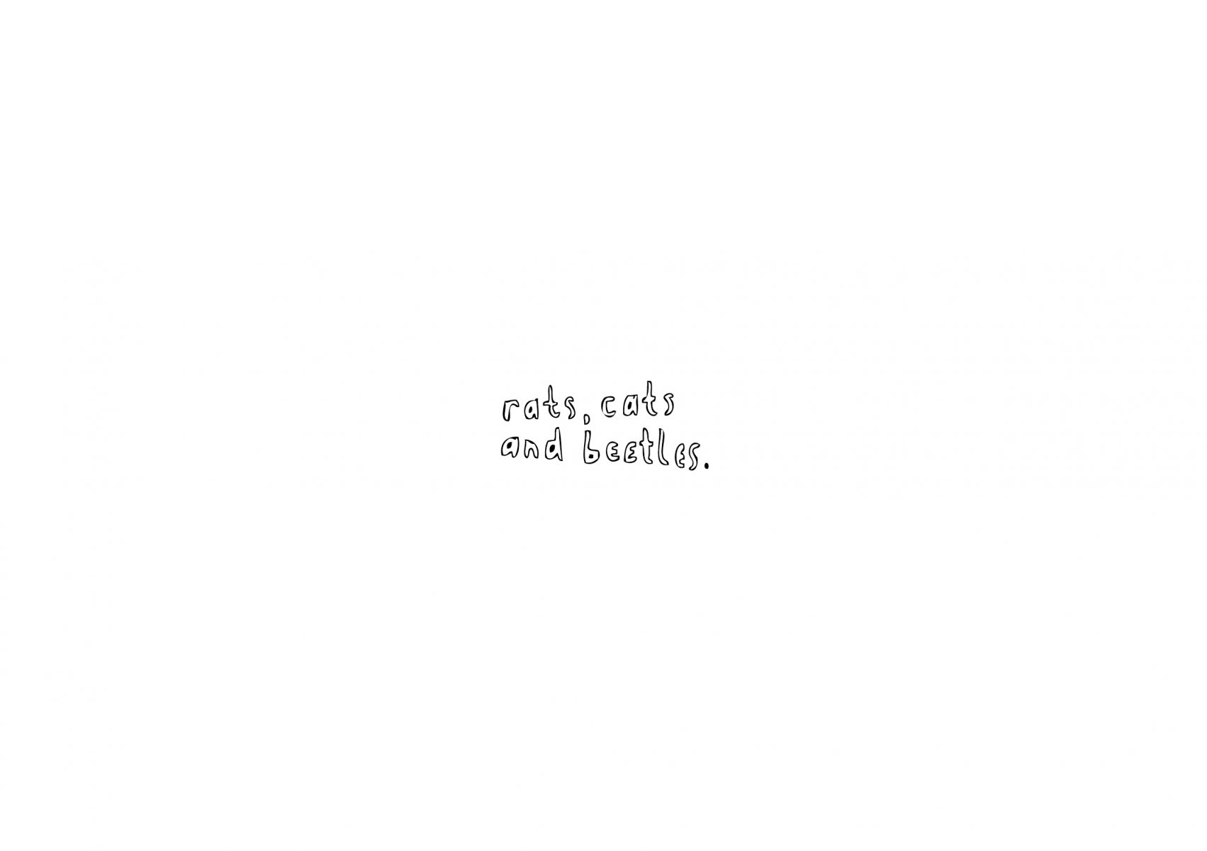 Little-house23
