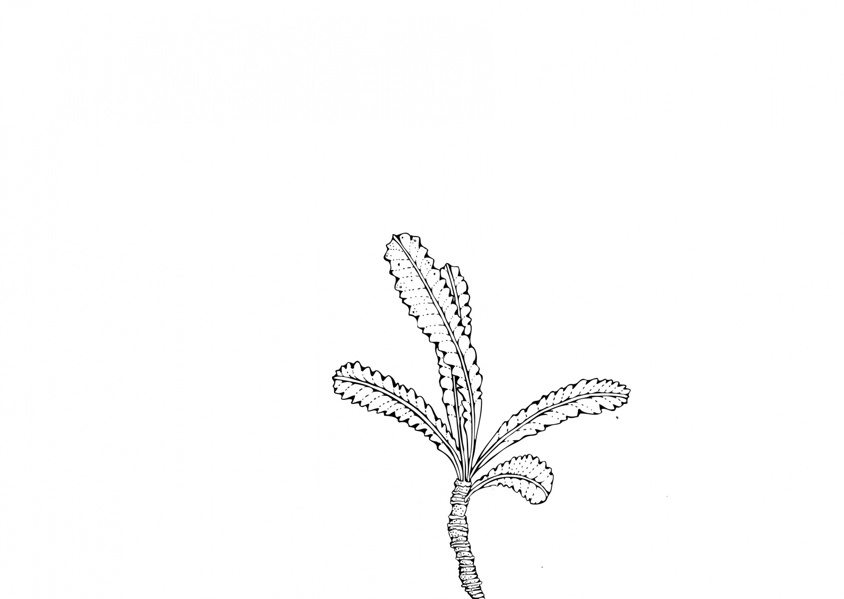 LLDJ16