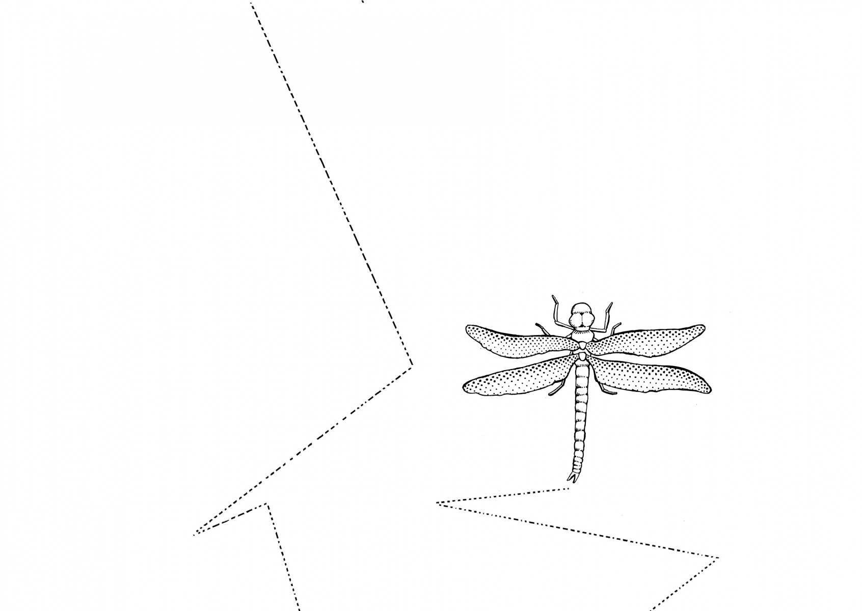 LLDJ35