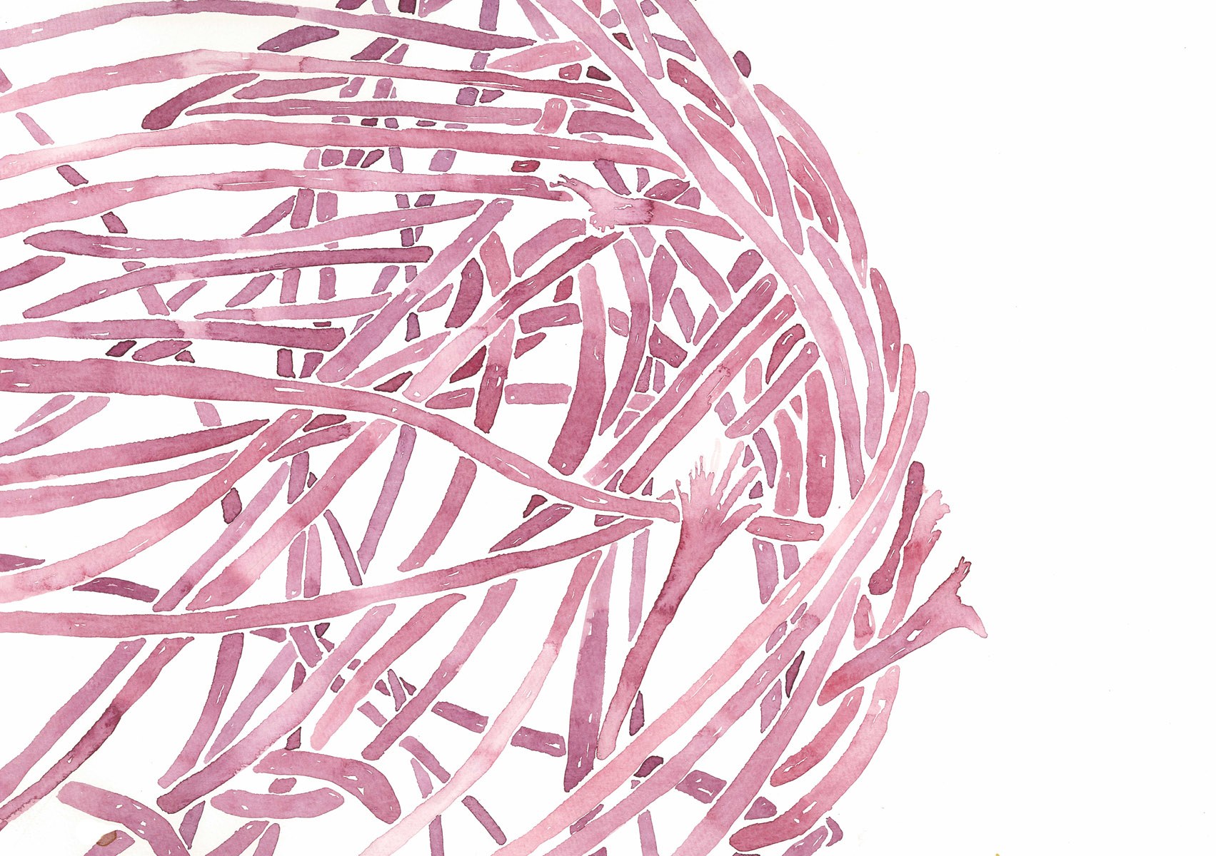 Magenta-ink-weave24