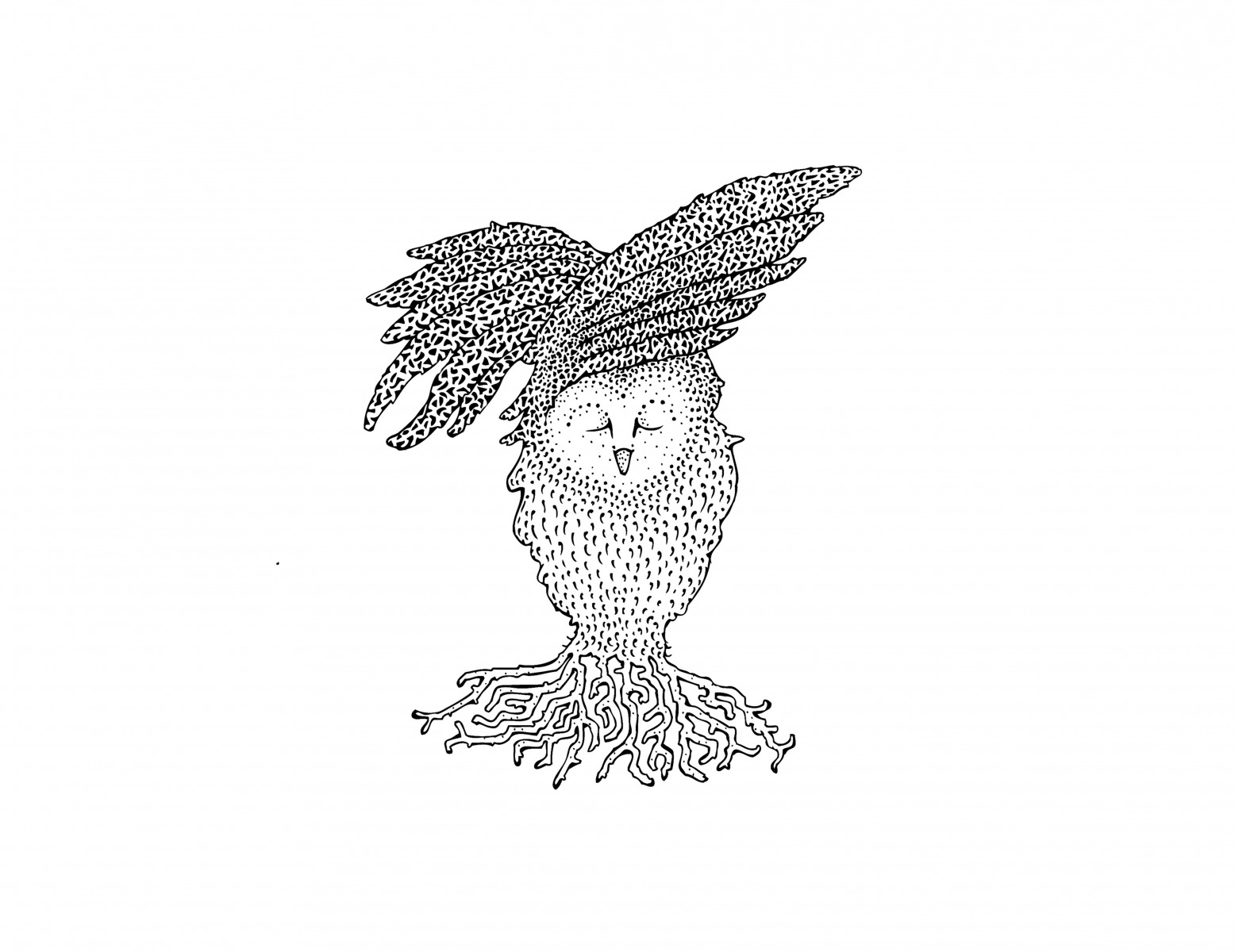 owl in flight_e