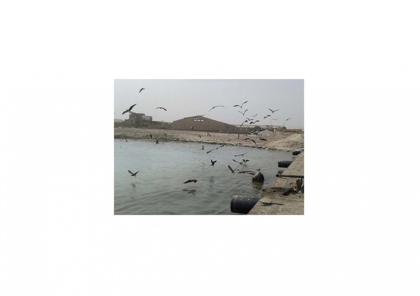 Waiting-for-Mohammed18